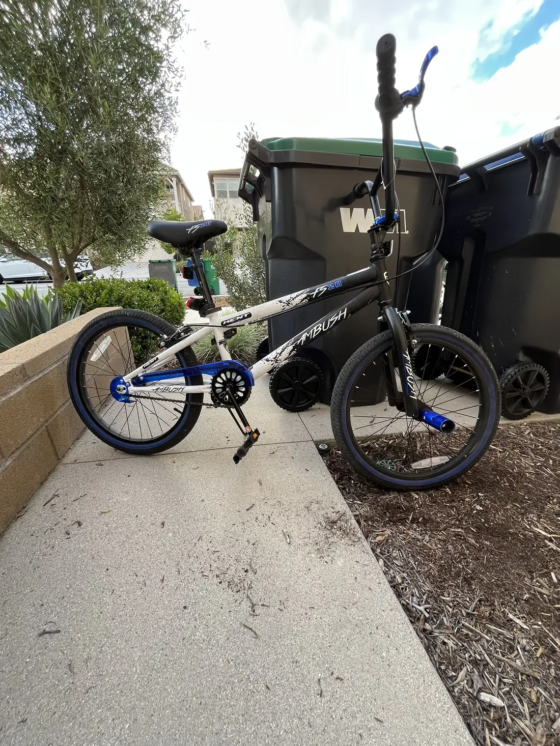BMX bike service